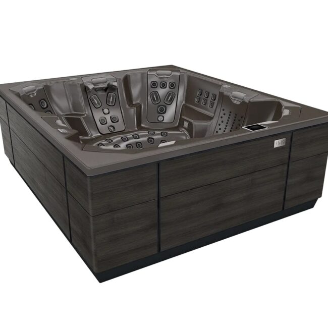Une autre vision de Bullfrog Spa M6